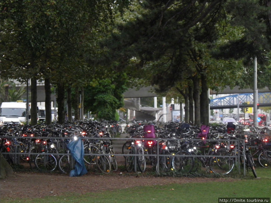 Самый популярный вид транспорта — велосипед. Фрайбург-им-Брайсгау, Германия