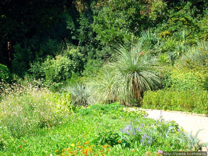 Никитский ботанический сад Симеиз, Россия