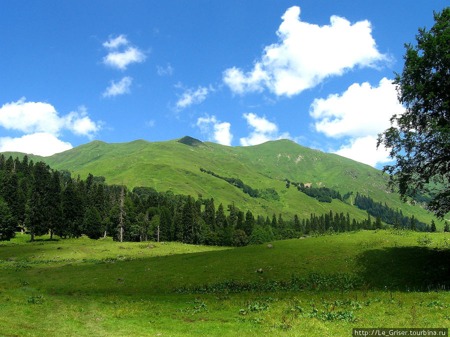 Альпийские луга находятся далеко в горах. Абхазия