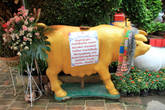 Священная корова, Ват Такаронг в Аюттхае