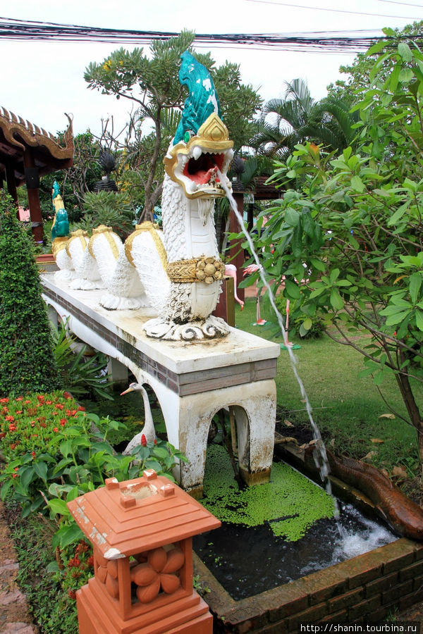 Змей, Ват Такаронг в Аюттхае Аюттхая, Таиланд