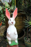 Белый кролик,  Ват Такаронг в Аюттхае