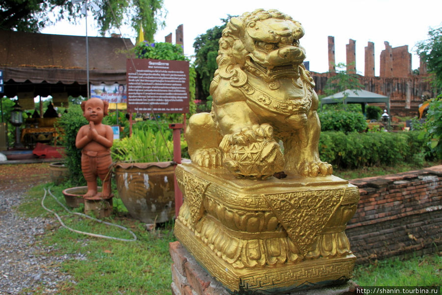 Золотой лев,  Ват Тхаммикарат в Аюттхае Аюттхая, Таиланд