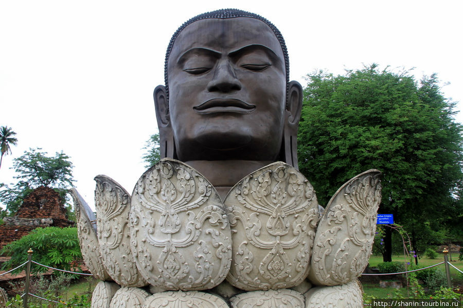 Голова,  Ват Тхаммикарат в Аюттхае Аюттхая, Таиланд
