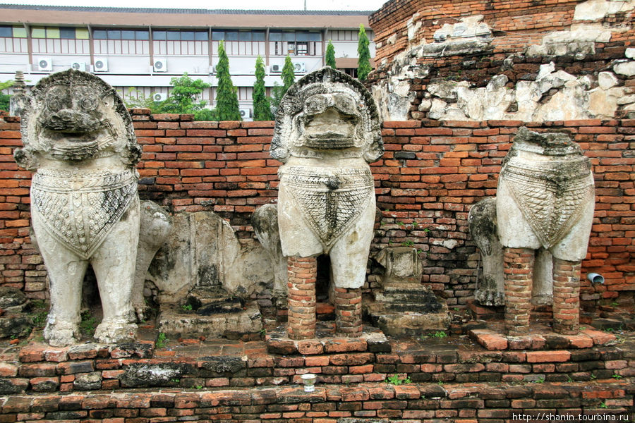 Каменные львы у подножия ступы,  Ват Тхаммикарат в Аюттхае Аюттхая, Таиланд
