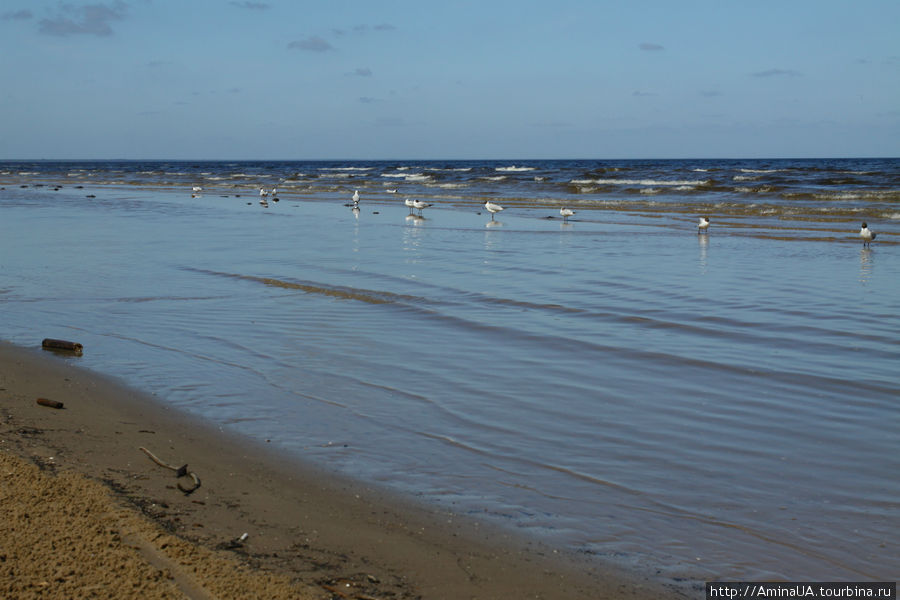 море — невзрачное Юрмала, Латвия