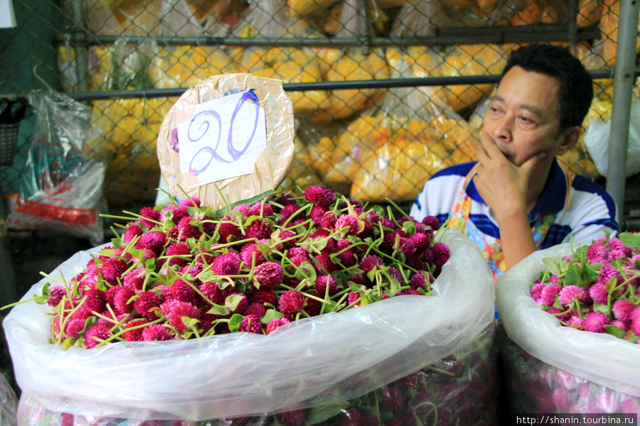 Цветы на развес Бангкок, Таиланд