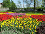 А весной в Горсаде у Заводоуправления у нас сажают самые красивые тюльпаны!!!