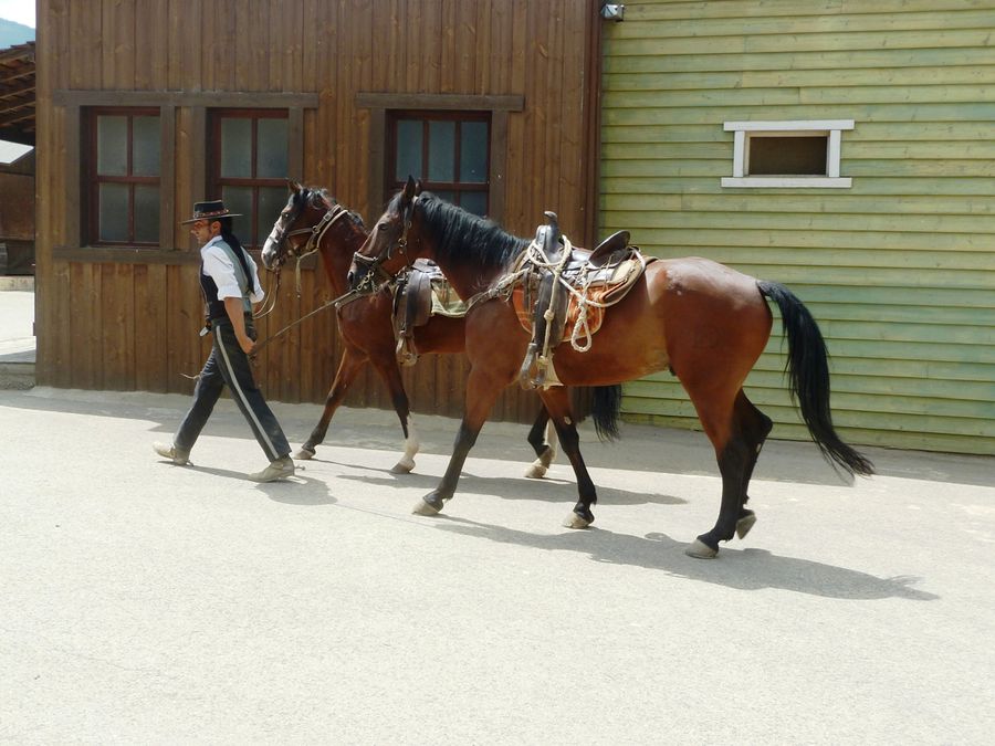 Лошади и ковбои Альмерия, Испания