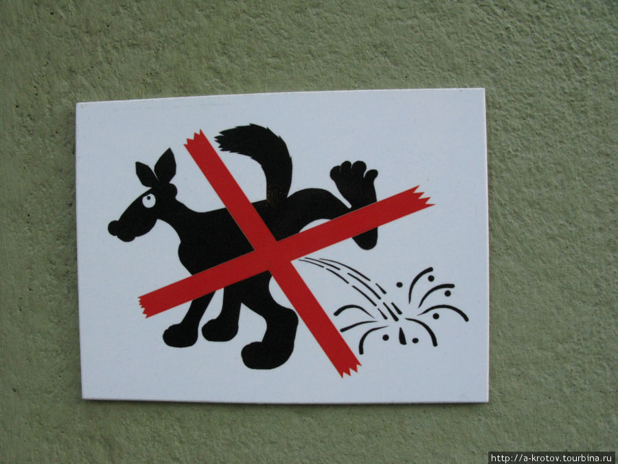 Хельсинкским собакам гадить на улицах запрещено. Хельсинки, Финляндия