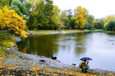 Посередине парка — небольшой пруд, где живут круглый год уточки