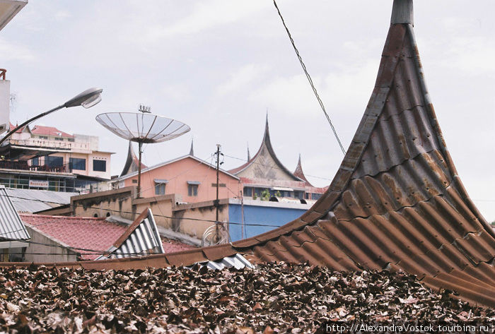 фирменые крыши Индонезии Суматра, Индонезия