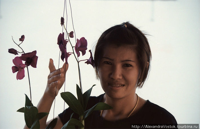 орхидеи повсеместно, в каждом доме. очень красиво. к слову, на фото девушка, которая пригласила меня отдохнуть и позавтракать с ней. тайское гостеприимство — это нечто потрясающее. Таиланд