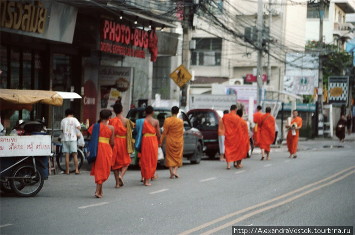 раннее утро, люди предлагают пищу монахам. Таиланд