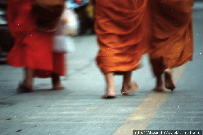 раннее утро, люди предлагают пищу монахам. утром монахи ходят исключительно босиком. время на фото — окло 6 утра. просыпаются они в 4-5 утра, медитируют, читают мантры, и отправляются за завтраком — то есть, за подаянием. Таиланд