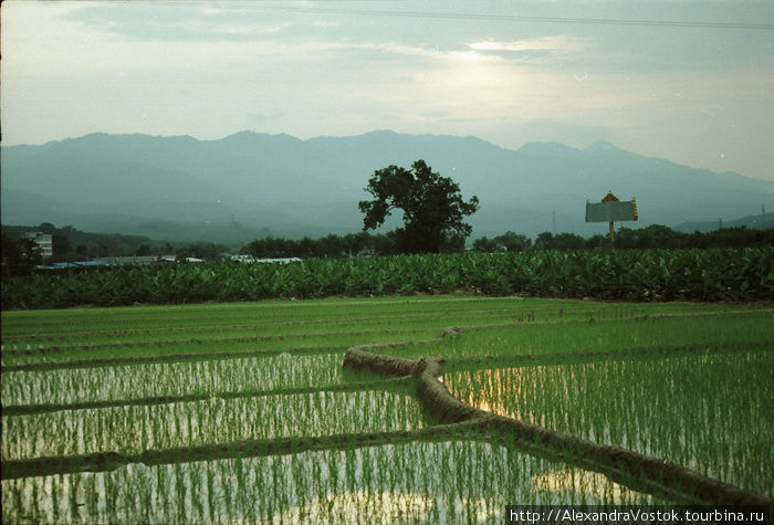 рисовое поле в провинции Юннань, автостоп по дороге в Кунминь Китай