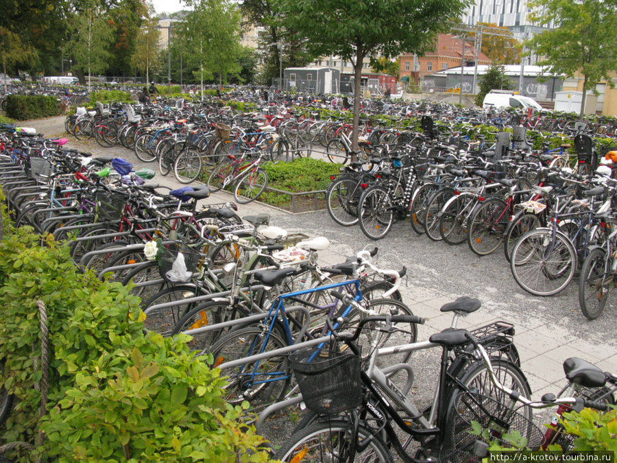 Много велосипедов Уппсала, Швеция