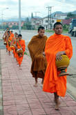 Каждое утро монахи выходят на прогулку