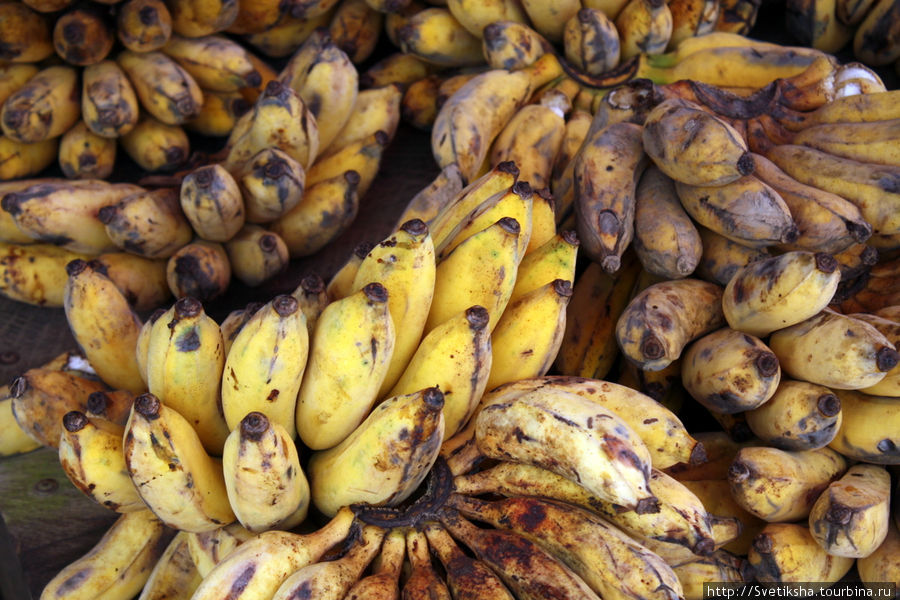 Местные бананы. Они меньше эквадорских, которые мы привыкли кушать в России Пхонсаван, Лаос