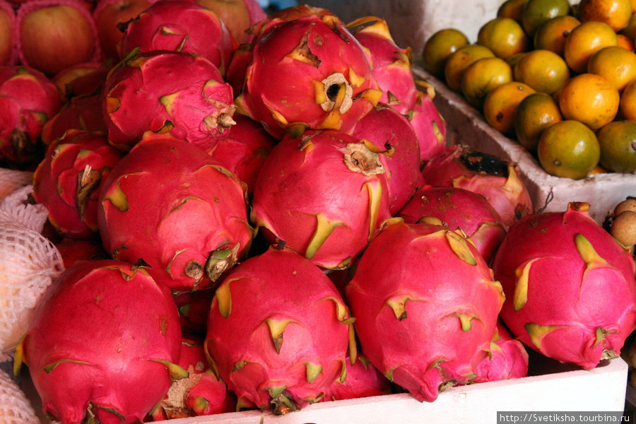 Драгон фрукт Пхонсаван, Лаос