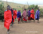 Выход воинов-масаев
