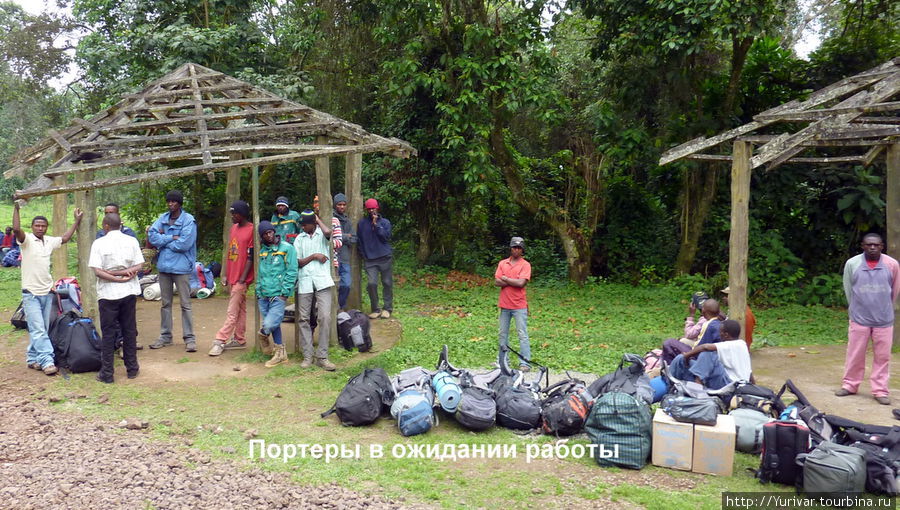 Портеры в ожидании работы Килиманджаро Национальный Парк, Танзания