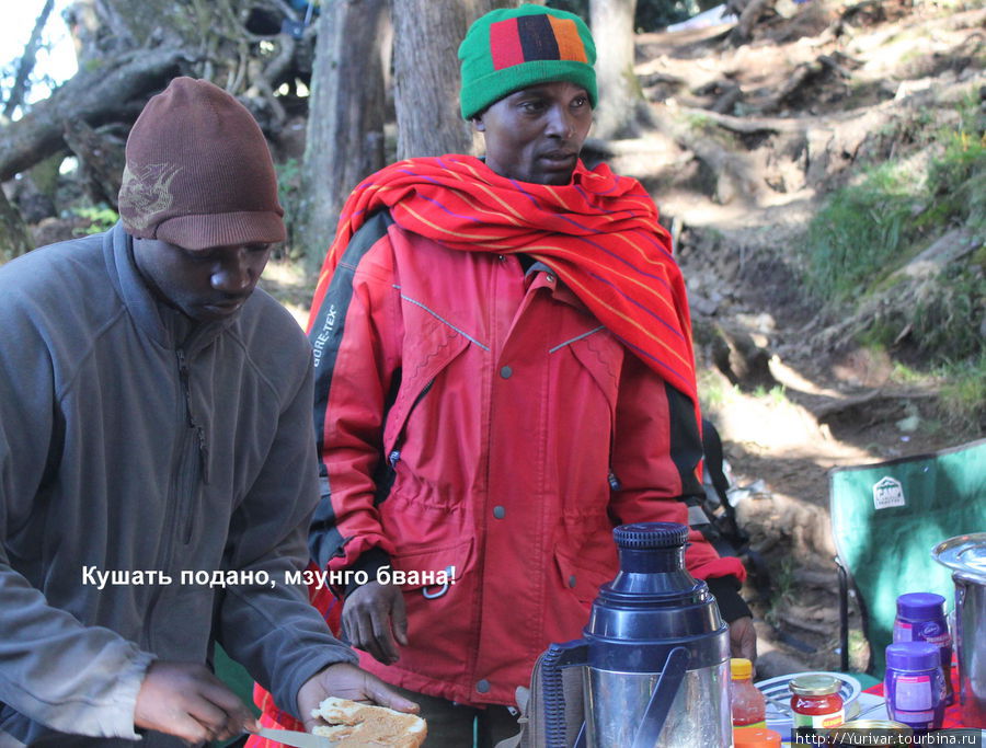 Кушать подано, Mzungu Bwana-белый господин! Килиманджаро Национальный Парк, Танзания