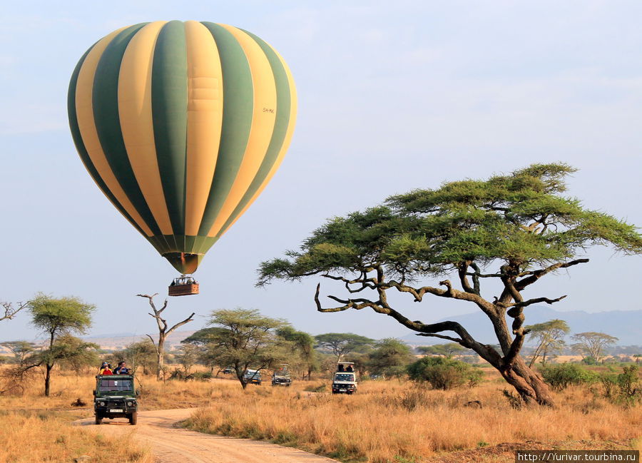 Утро начинается с полета Серенгети Национальный Парк, Танзания