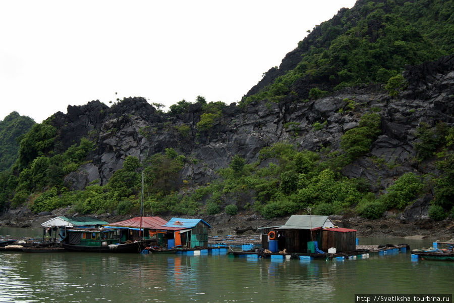 Деревня рыбаков Халонг бухта, Вьетнам