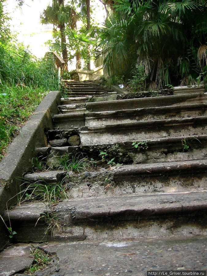 К обезьяньему питомнику ведет крутая  длинная лестница, на которую приятно смотреть, но трудно подниматься. Сухум, Абхазия
