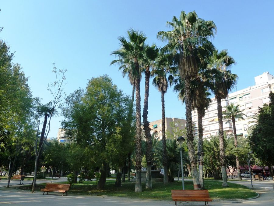 Jardin del Salitre Мурсия, Испания