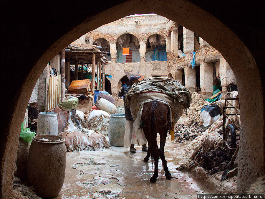 Очистка кожи от шерсти. Фес, Марокко