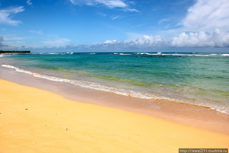 это на пляже Sirenis Уверо-Альто, Доминиканская Республика