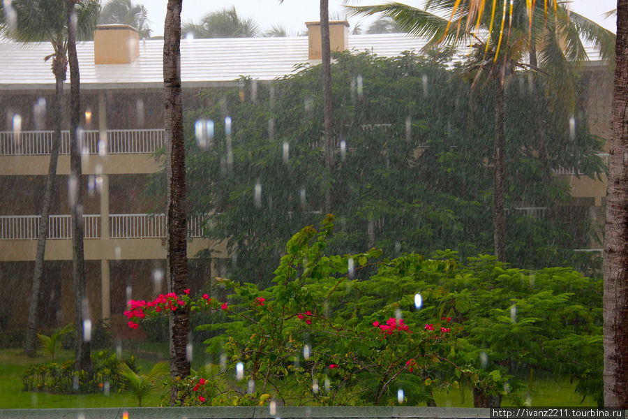 летний дождь на 15 минут Уверо-Альто, Доминиканская Республика