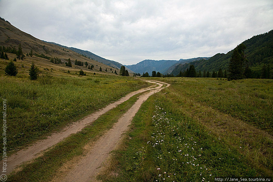 дорога в Тюнгур от места впадения Аккема в Катунь Тюнгур, Россия