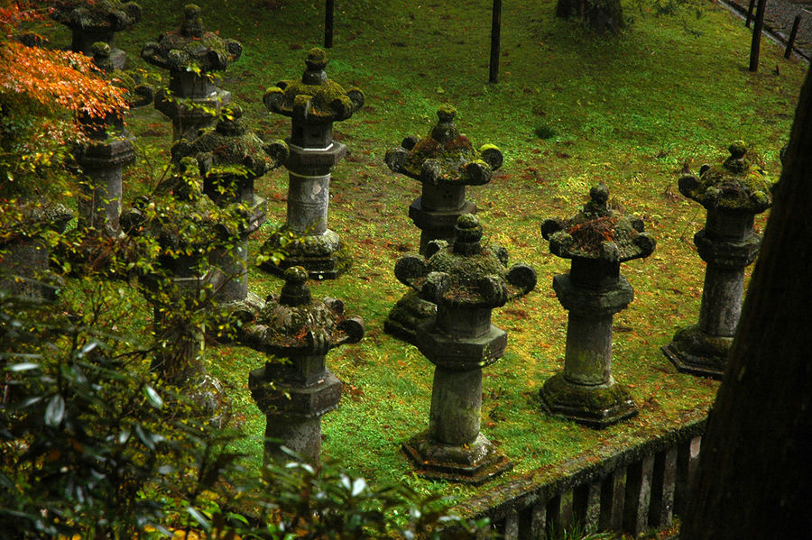 Дождь и клёны в городе Н. Никко, Япония