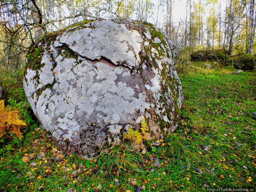 один из жертвенных камней Васильево, Россия