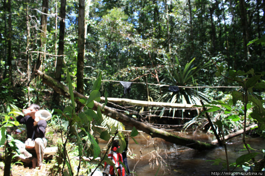 Ланч на Папуа Папуа, Индонезия