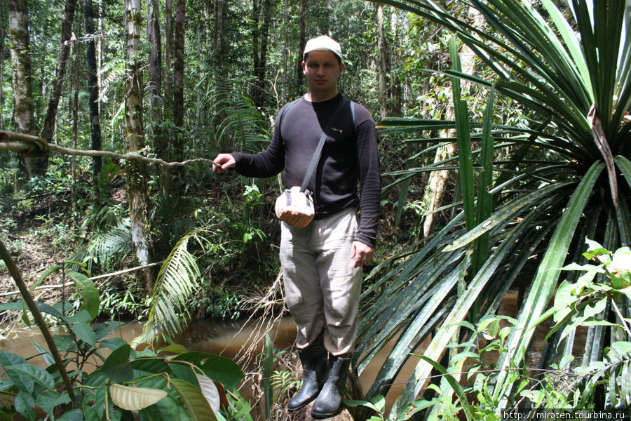 Ланч на Папуа Папуа, Индонезия