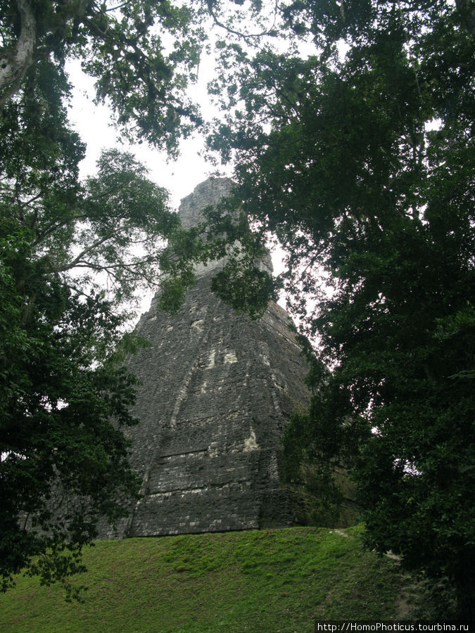Храм-пирамида №4, назначение ищется:) Тикаль Национальный Парк, Гватемала