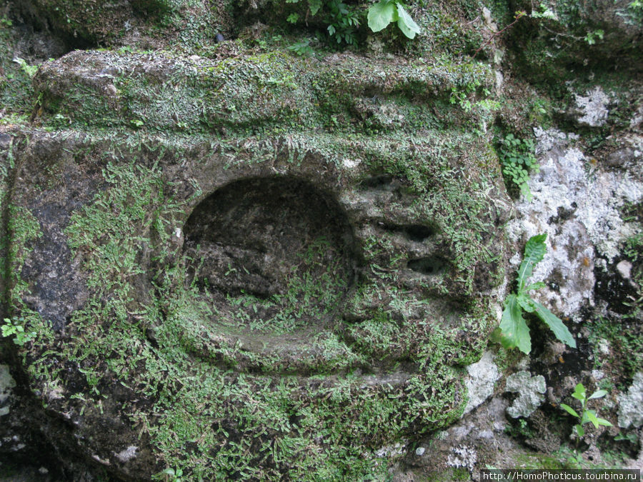 иероглиф Тикаль Национальный Парк, Гватемала