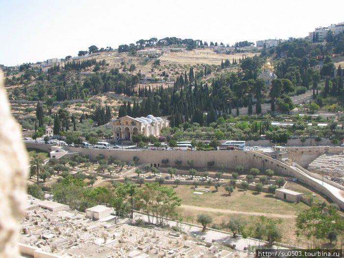 Церковь Всех Наций, слева – Гефсиманский сад Израиль
