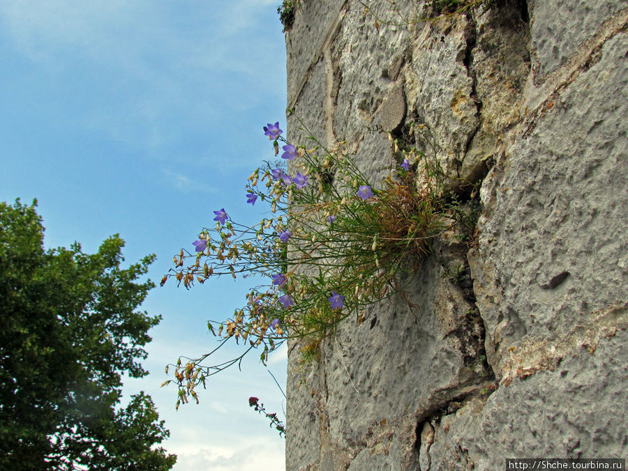 Цитадель города Безансон. Прогулка по стенам крепости. Безансон, Франция