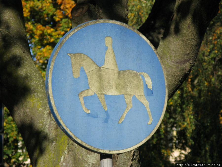 интересный знак: дорога для лошадей и всадников Стокгольм, Швеция