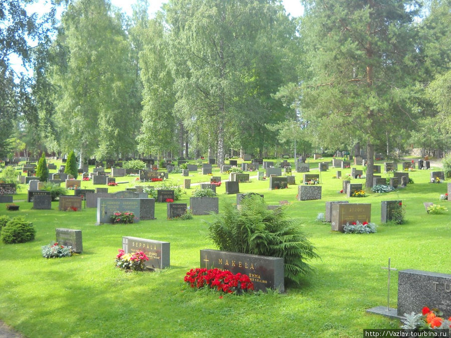 Ряды и цветы Холлола, Финляндия