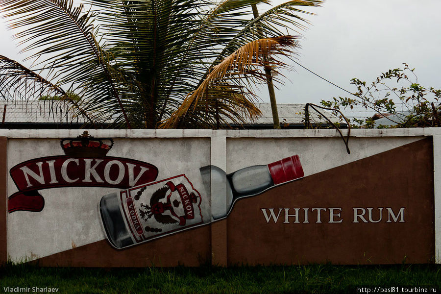 В Суринаме можно посетить магазин беспошлинной торговли и закупить дешевый алкоголь. Сен-Лоран-дю-Марони, Французская Гвиана