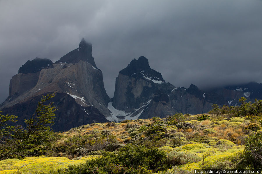 Торрес-дель-Пайн (горы, и не только). Национальный парк Торрес-дель-Пайне, Чили