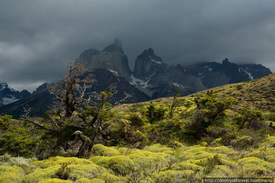Торрес-дель-Пайн (горы, и не только). Национальный парк Торрес-дель-Пайне, Чили