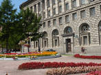 Цветы перед зданием института  ВМТ