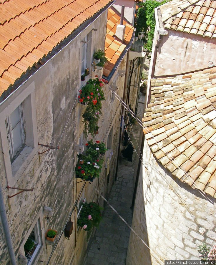Даже здесь есть место прекрасному Дубровник, Хорватия